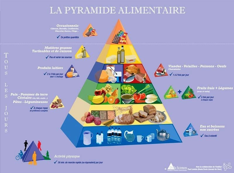 La nutrition, activités pour enfants.